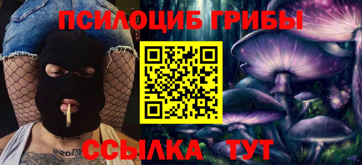 Галлюциногенные грибы Psilocybine cubensis Рассказово